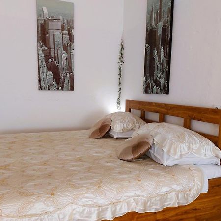 Exkluzivni Apartman V Prizemi V Hradci Kralove Hradec Králové Extérieur photo