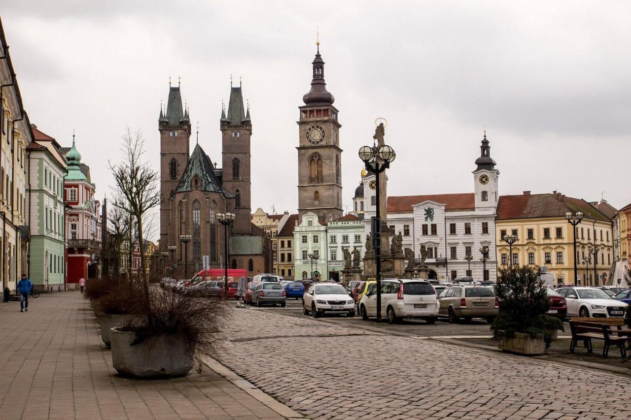 Exkluzivni Apartman V Prizemi V Hradci Kralove Hradec Králové Extérieur photo