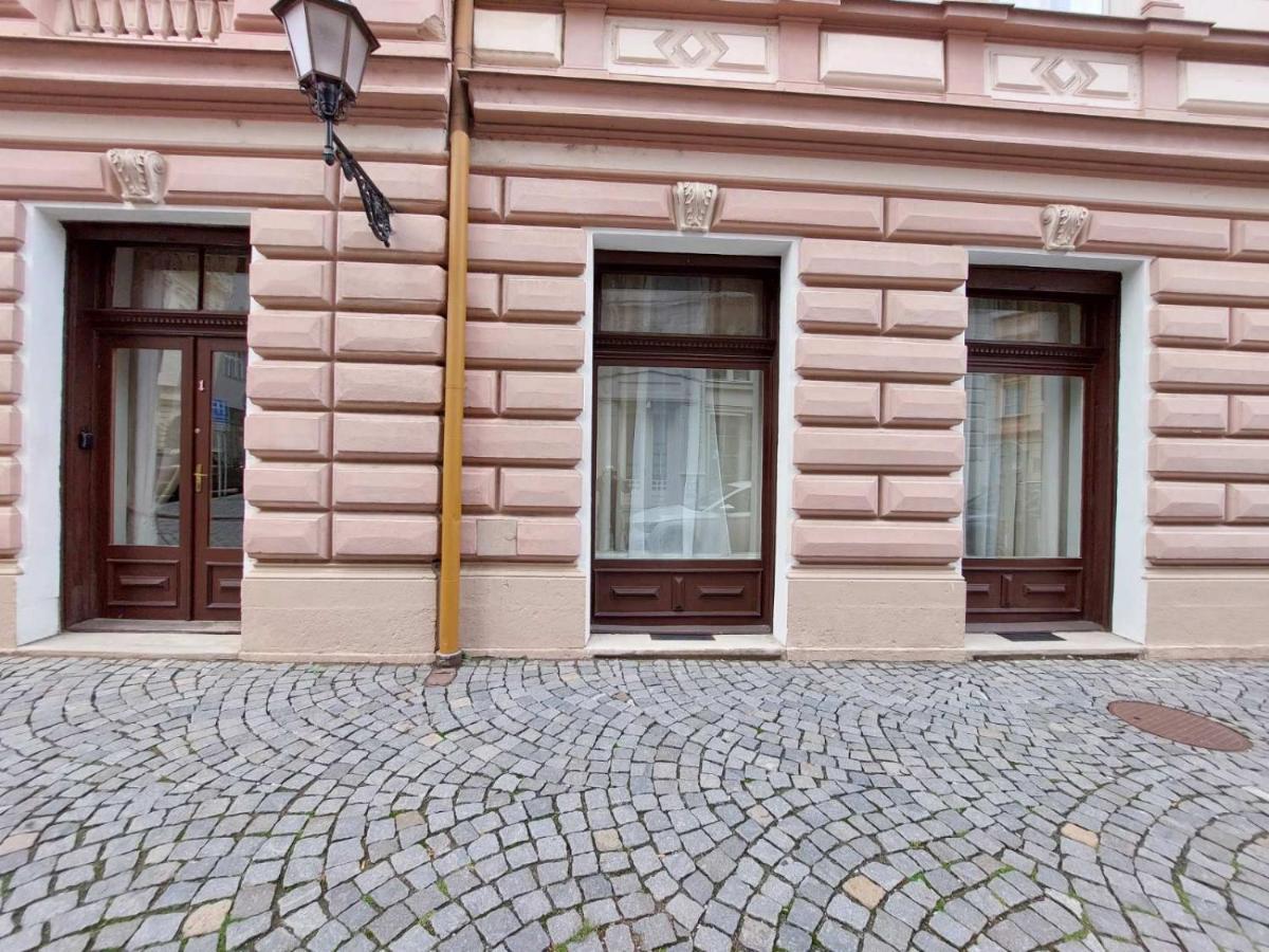 Exkluzivni Apartman V Prizemi V Hradci Kralove Hradec Králové Extérieur photo