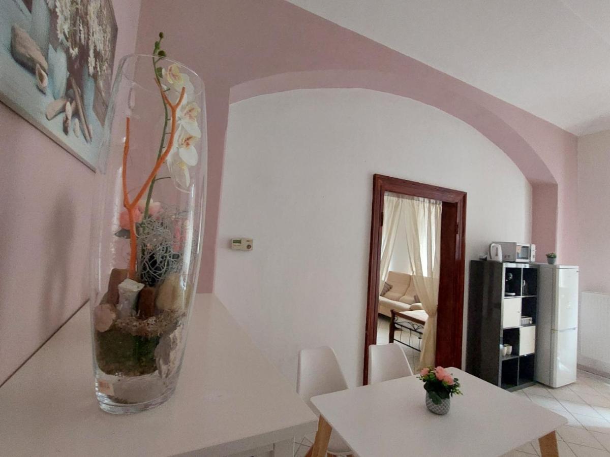 Exkluzivni Apartman V Prizemi V Hradci Kralove Hradec Králové Extérieur photo