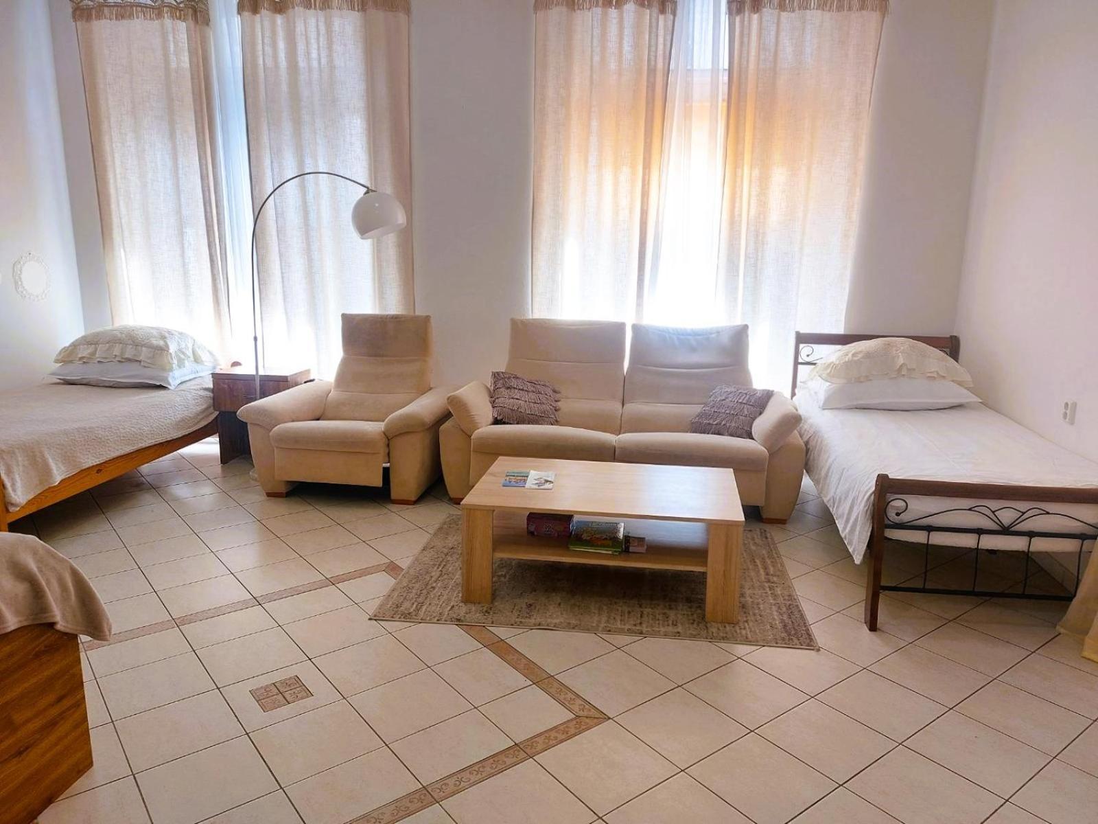 Exkluzivni Apartman V Prizemi V Hradci Kralove Hradec Králové Extérieur photo